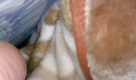 اماتور غیر حرفهای,ایتالیا, اوکراین,اروپا, می دانم که چگونه به خلاص شدن از سکس عربی تنگ قالب در صفحه اصلی