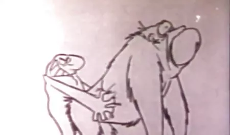 جذاب عربی رقص سکسی سینه بزرگ,مودار,بالغ,کلاسیک,17